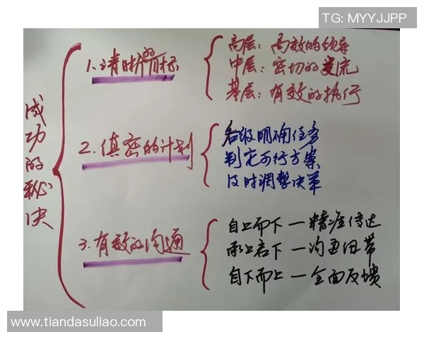 杨强专访揭秘排球成功背后的秘诀与团队精神