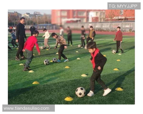 探索埃莫森足球的魅力与发展潜力揭示未来足球新趋势