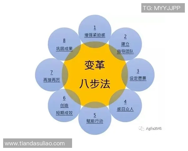 广州排球队的转型之路：深度解析排球战术与团队协作的变革