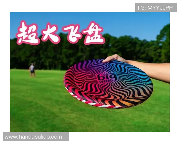 成都飞盘队战术创新引领潮流最新飞盘战术TOP10全面解析